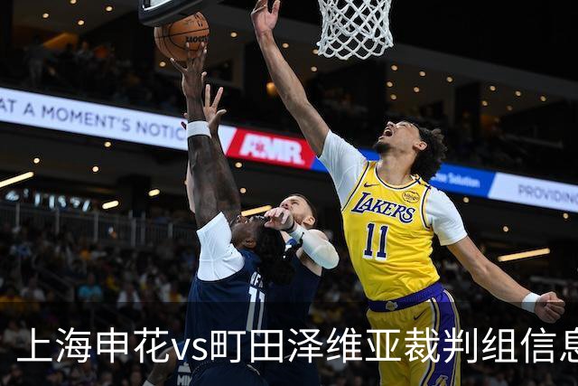 上海申花vs町田泽维亚裁判组信息