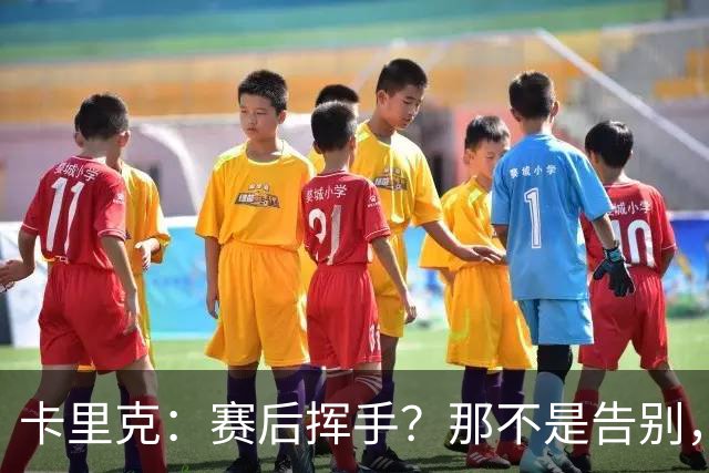 卡里克：赛后挥手？那不是告别，我为球队、球员们感到难过