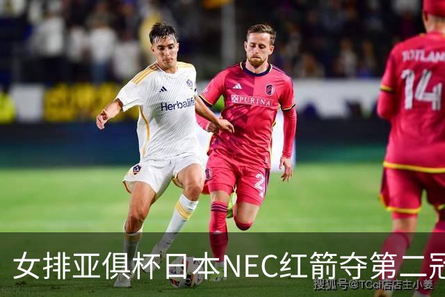 女排亚俱杯日本NEC红箭夺第二冠 佐藤淑乃荣膺MVP