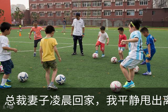 总裁妻子凌晨回家，我平静甩出离婚协议，她疯了般向我解释