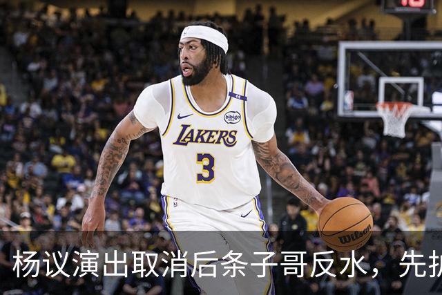 杨议演出取消后条子哥反水，先护短再打压，几十年兄弟情在流量面前说断就断