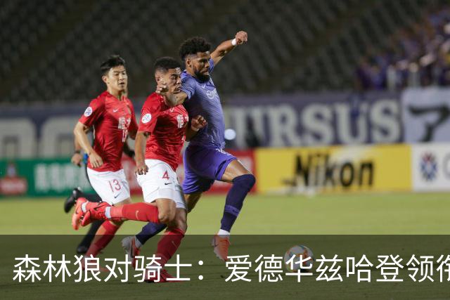 森林狼对骑士：爱德华兹哈登领衔，两队伤情成看点