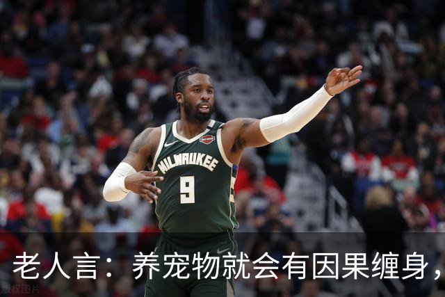 老人言：养宠物就会有因果缠身，这3件事养猫人需要知的冥界规则