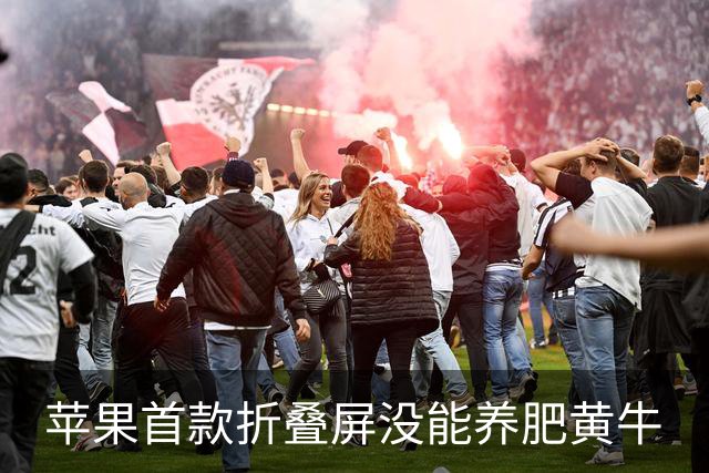 苹果首款折叠屏没能养肥黄牛