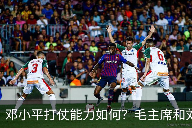 邓小平打仗能力如何？毛主席和刘伯承分别怎么评价他的表现？