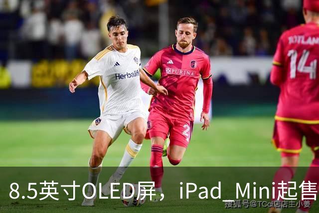 8.5英寸OLED屏，iPad Mini起售价涨到699美元